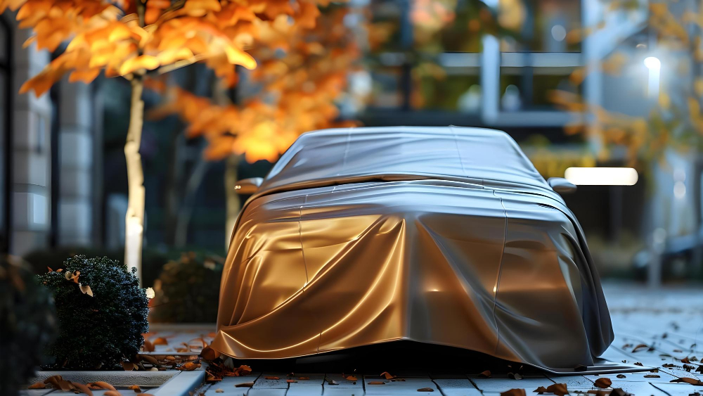 Outdoor Car Storage